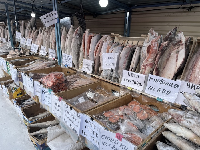 ������� ���� ��������� 