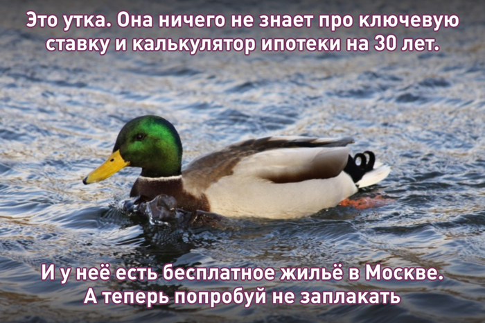      200       , , ,   , , , 