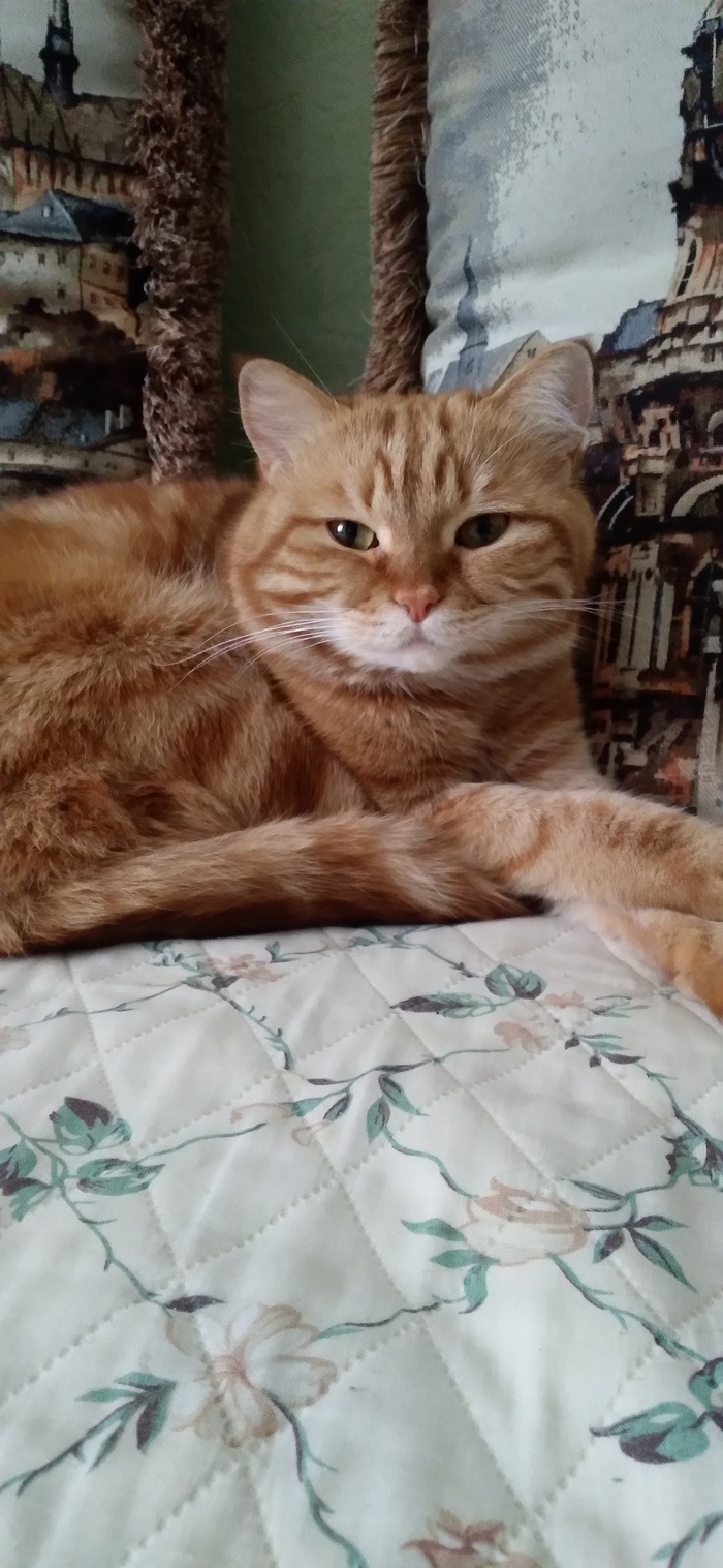 Ну, что смотришь? Листай дальше уже...