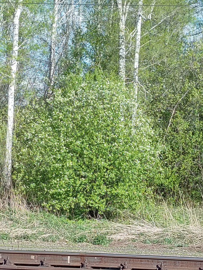 �������...