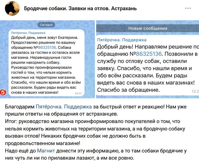   ,  ""  ""  , ,  (), , , ,  