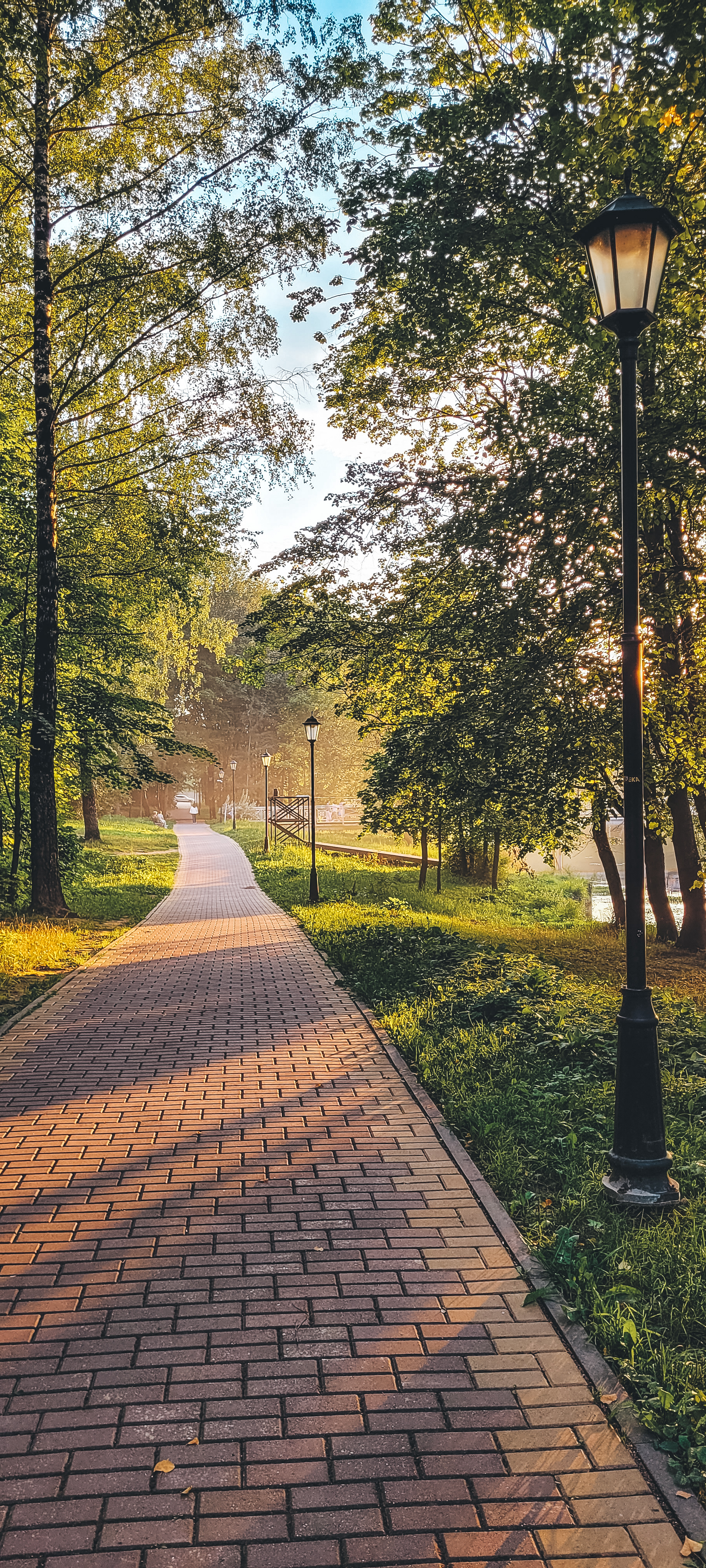Summer evening warm - My, The photo, Mobile photography, Sunset, Evening, The park, Summer, Heat, Longpost