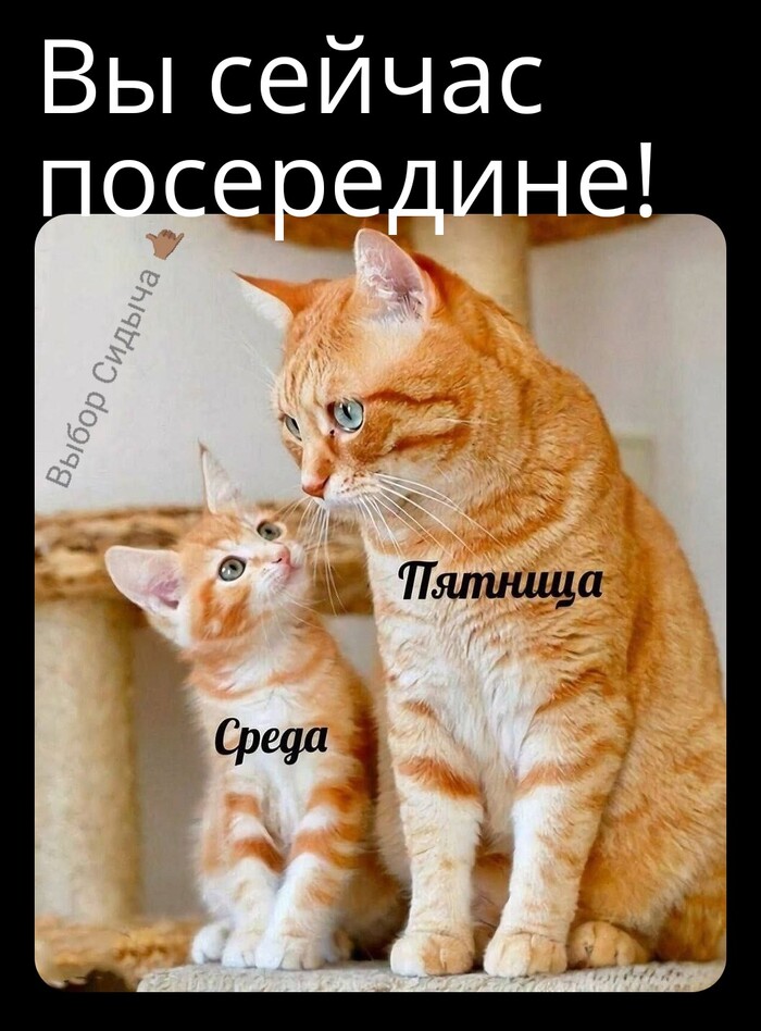  , , ,   , 