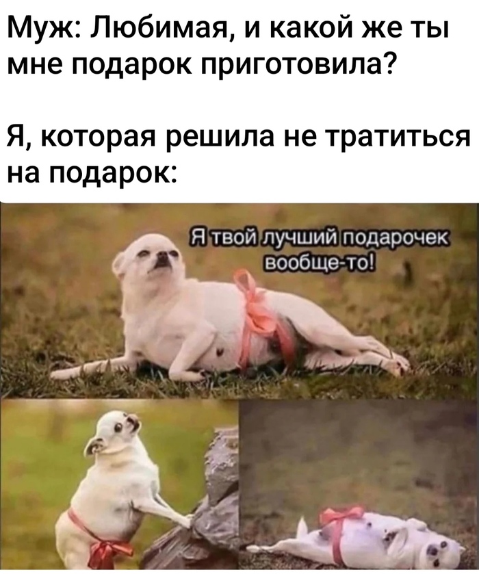      , Telegram (),  ,   , , 