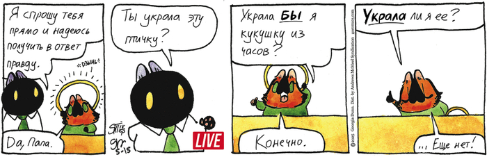 Котейкины Новости от 15.05.2025