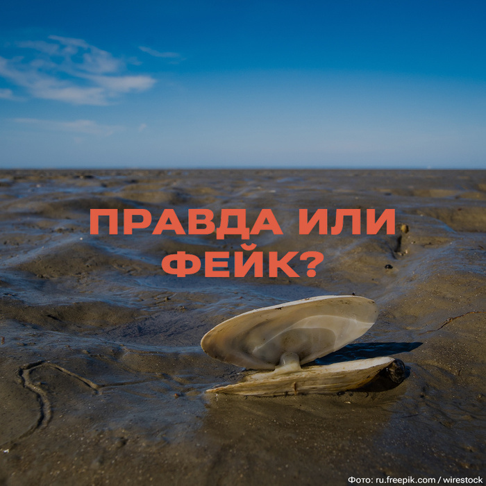       -        ?  , ,   , , , , , Fake News, 