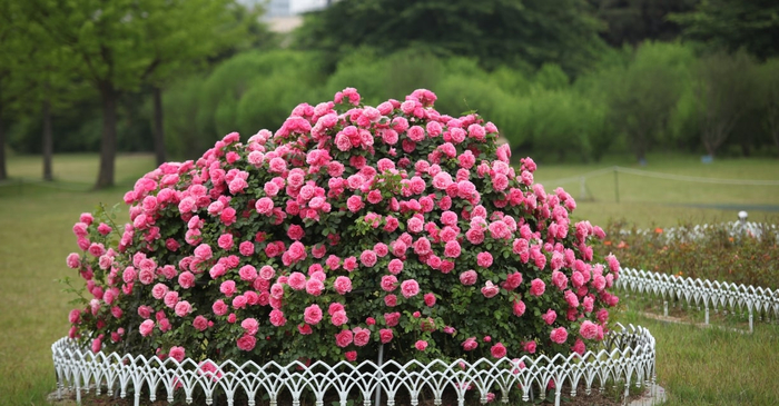 ��� �������� ����� �� ���������