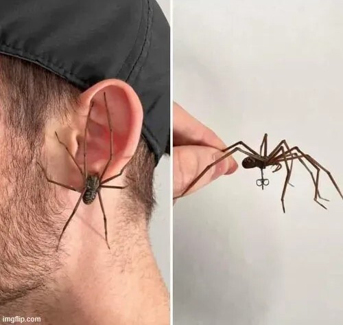    )