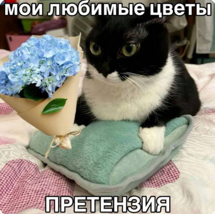 � ����� � ��� ������� �����?