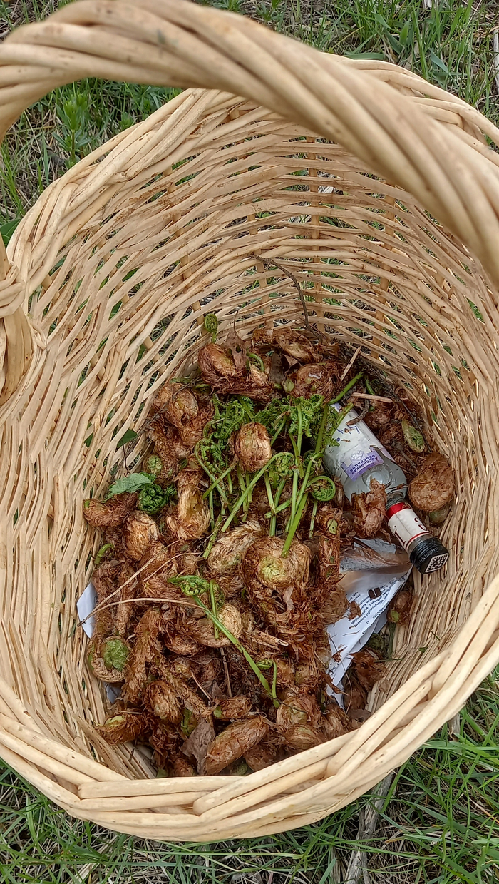 �� ������ ��� � ��� ��� ������. ������� ������� ������� �����������, �� 150 �� ����� ���� � ��������� ���������.