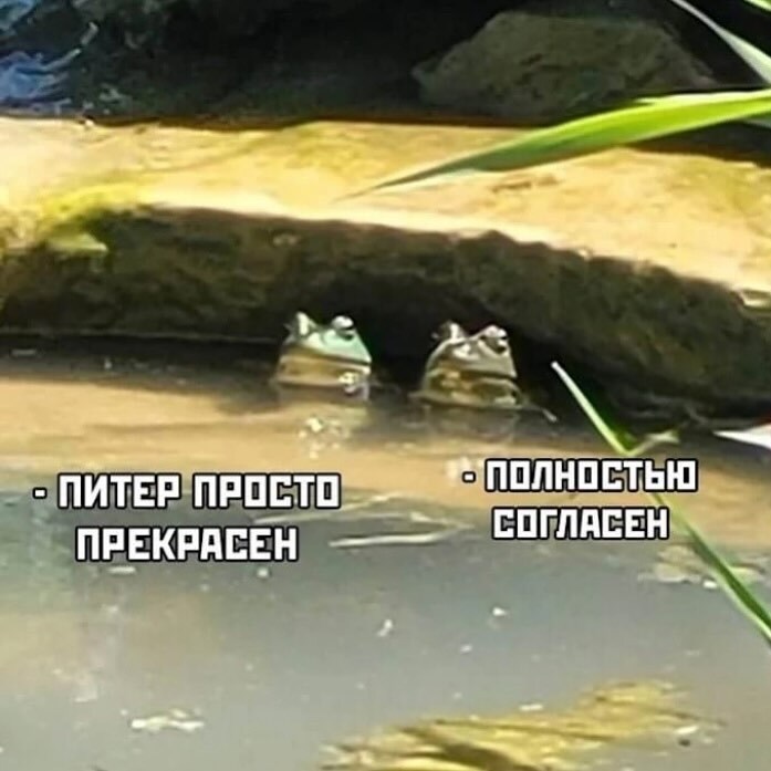    )) -, ,  ,   