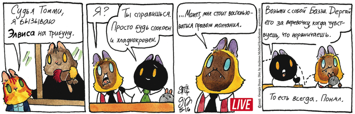 Котейкины Новости от 16.05.2025