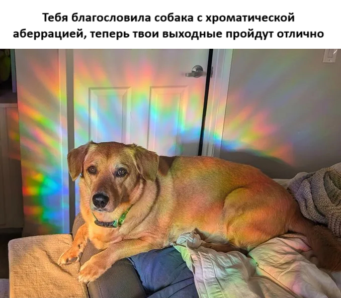  ! , , ,  ,   , Telegram ()