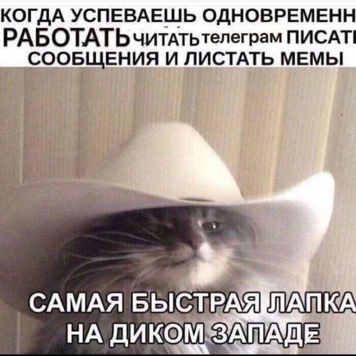 Самая быстрая лапка