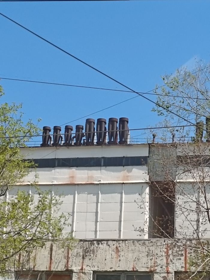 ��� �� �����?)