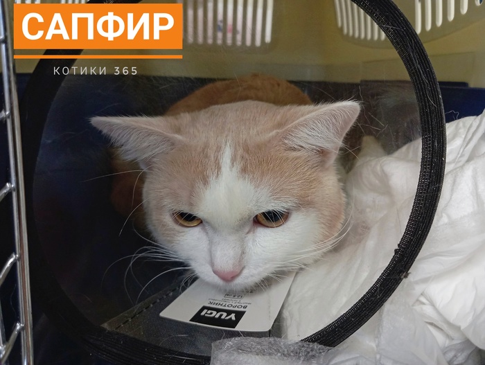  14.05.2025 , , , ,  , 