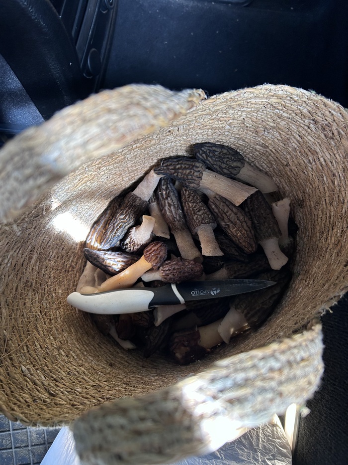 Половина корзинки - у моей коллеги.