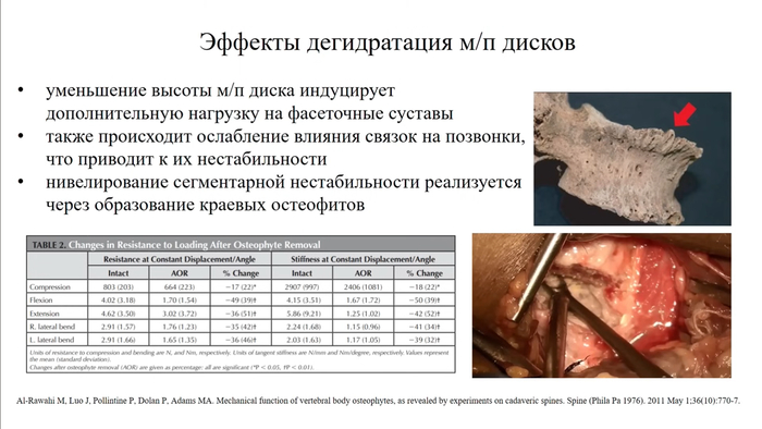     ,             .        (      )