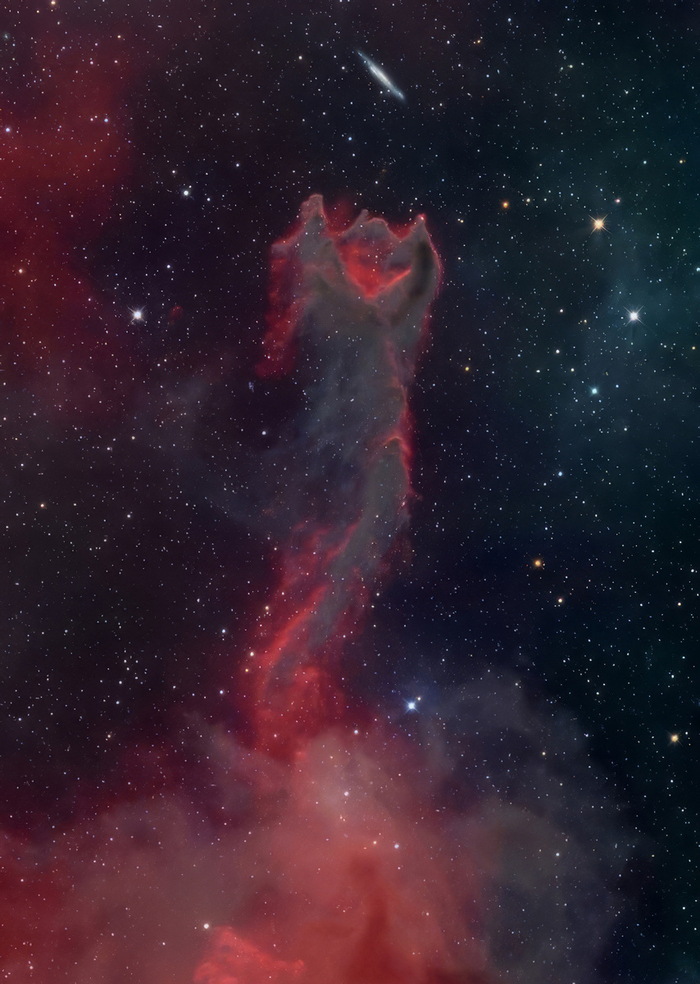 Космический котёнок.