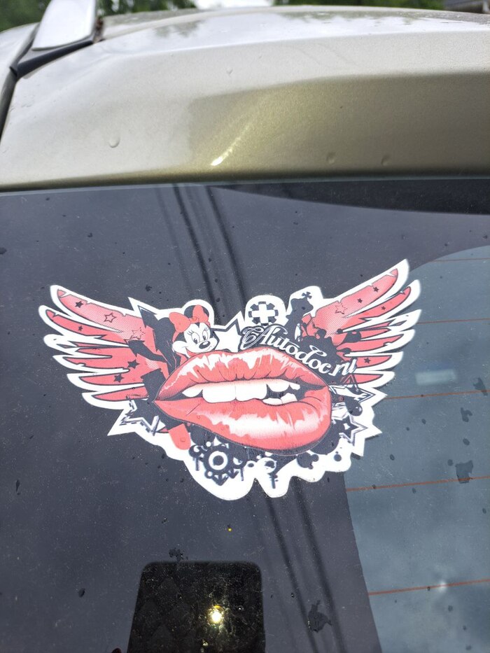 ������� ��������