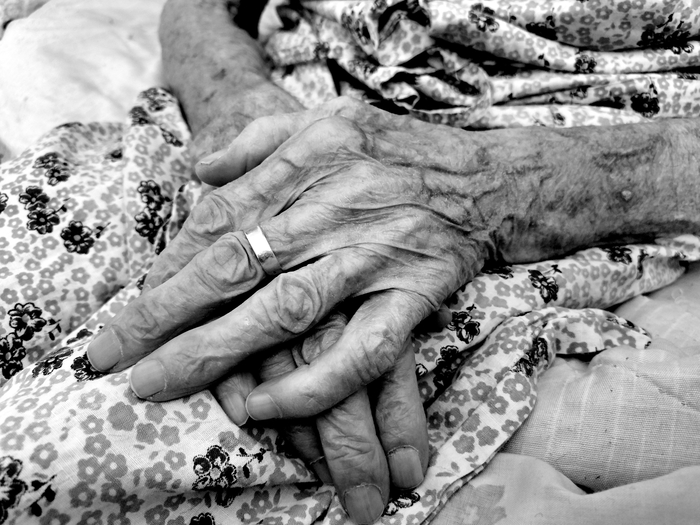 Автор фото Вероника Плеханова