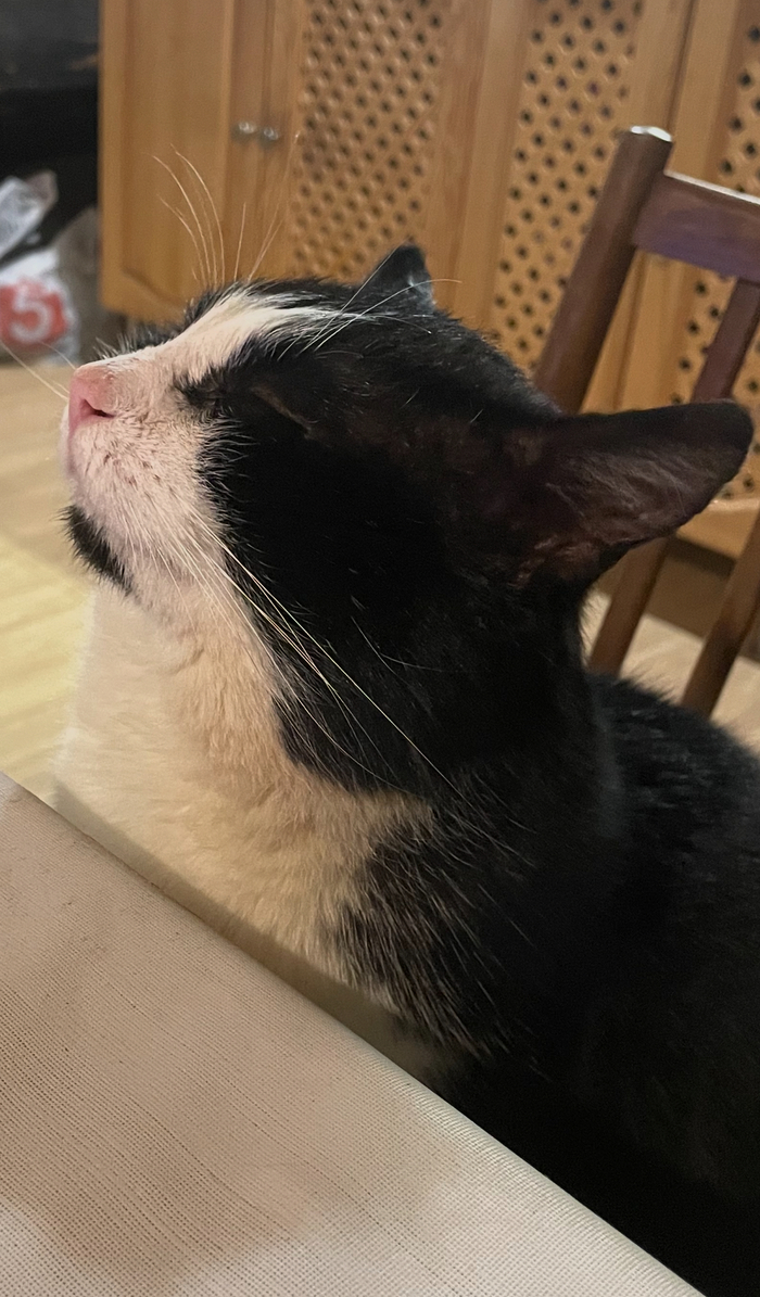 ��� �������? � �������!