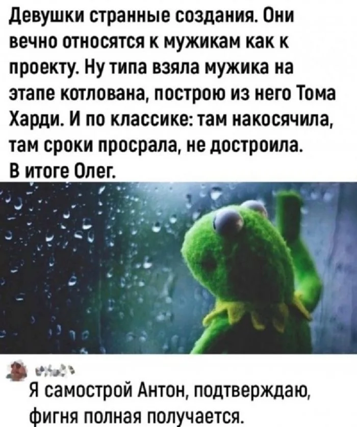 ookn5q2j.webp