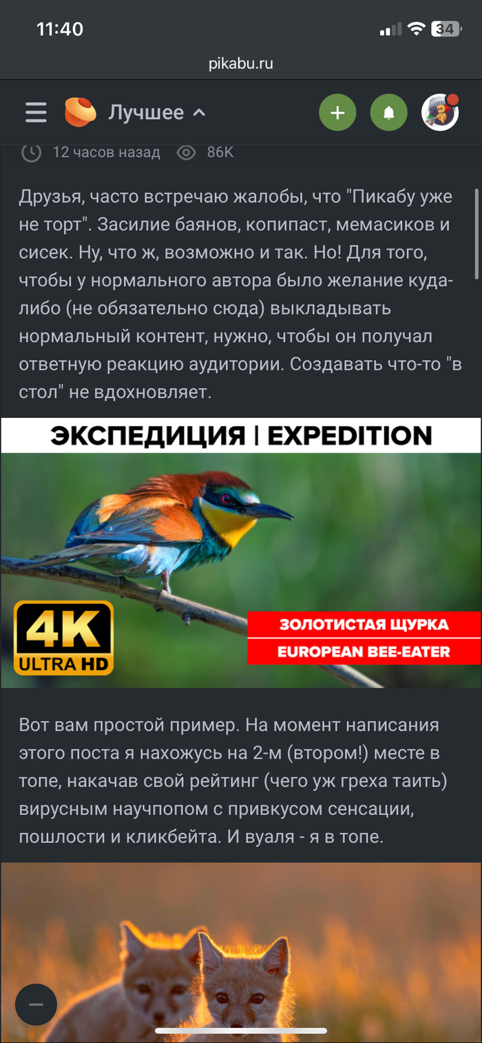 В нижнем левом углу