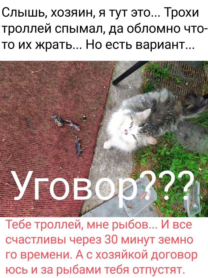 -.   ,  ... , , , ,   ,  