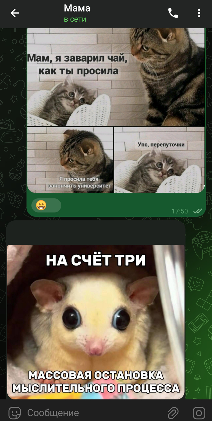 Достиг высшего уровня общения с матерью