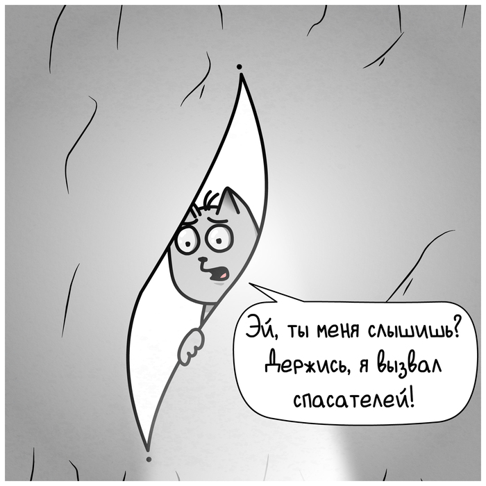        , , ,  , , , 