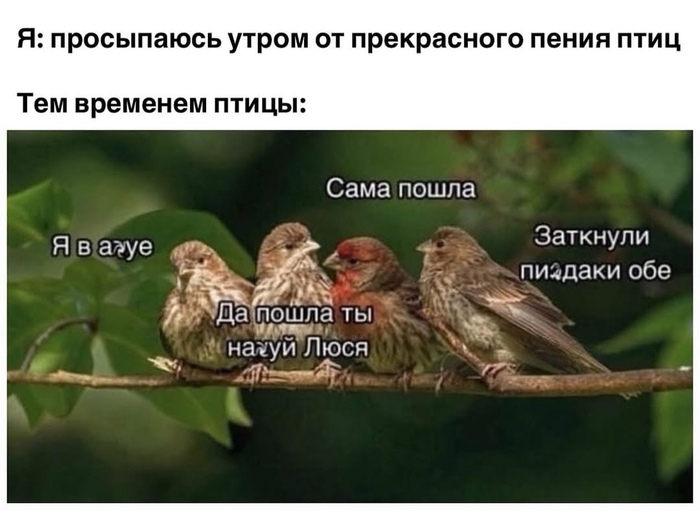 На каждый день
