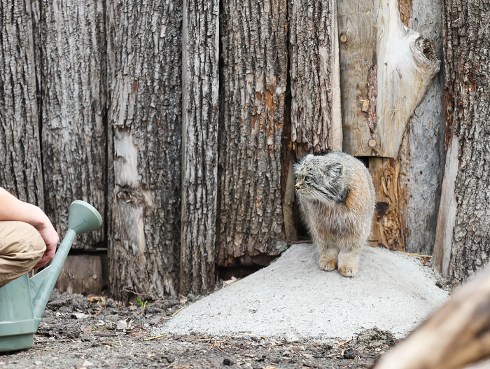    ,   -     .  ,       ,   ,     ,            