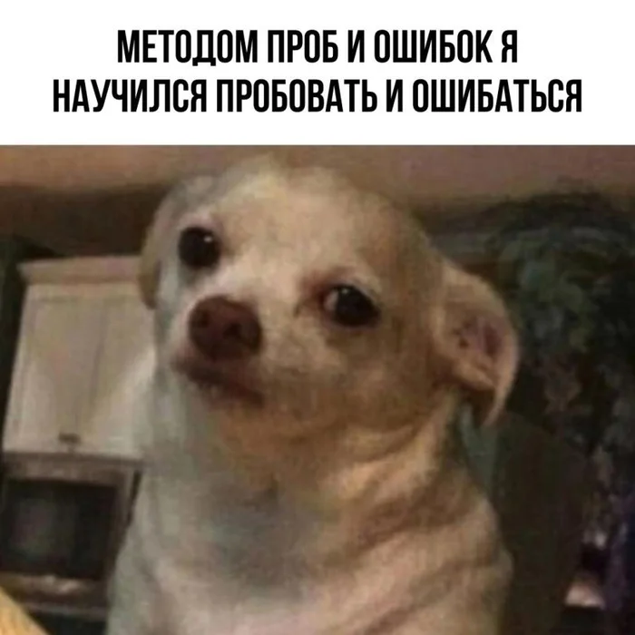 oel54ydk.webp