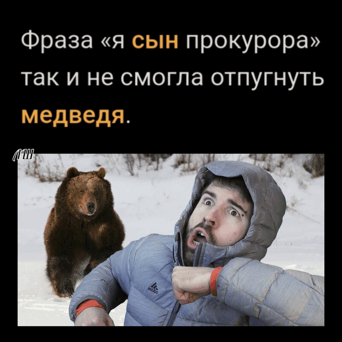 Ответ на пост «Деревенская "элита": дочь Шевцовой грозит отправкой на СВО»