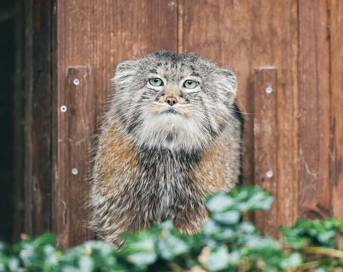     <a href="https://pikabu.ru/story/imeninniki_12744521?u=https%3A%2F%2Fwww.instagram.com%2Fp%2FC81kwFbvJ7U%2F%3Figsh%3DMW1leXVwcmN1MGtwcQ%3D%3D&t=pazispallas%20inst&h=ea89e62da75dcd7b07930a1279667ca4b8c7648e" title="https://www.instagram.com/p/C81kwFbvJ7U/?igsh=MW1leXVwcmN1MGtwcQ==" target="_blank" rel="nofollow noopener">pazispallas inst</a> 