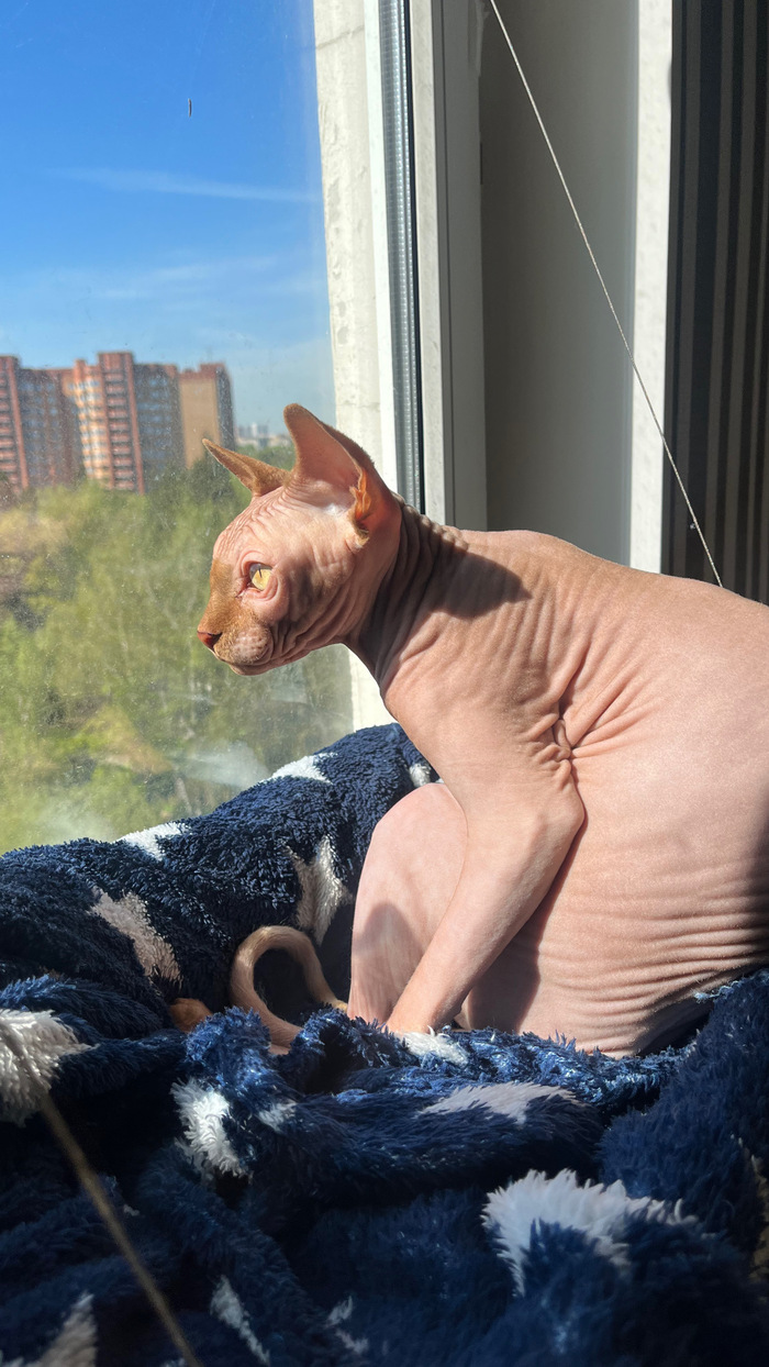     , ,  , , 