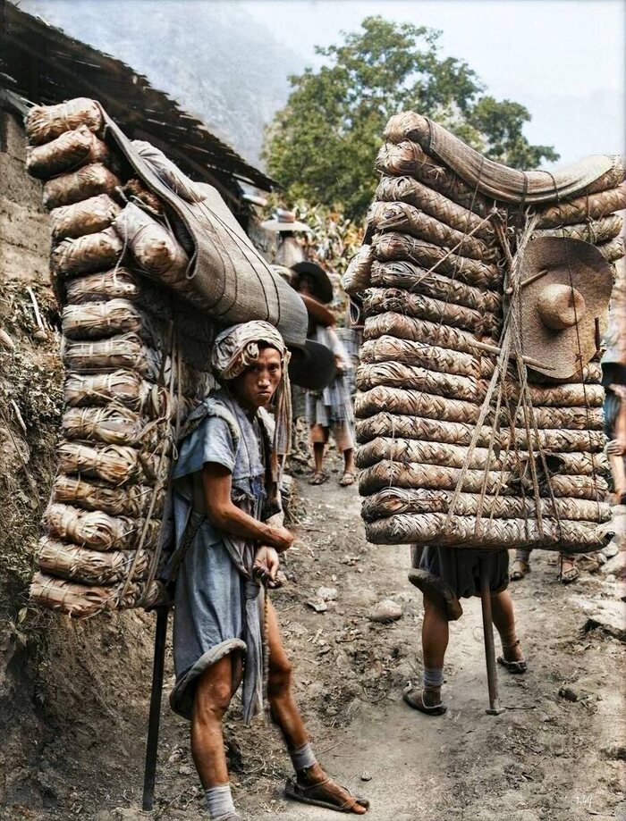 Мужчины с брикетами чая направляются в Тибет. 1908 год