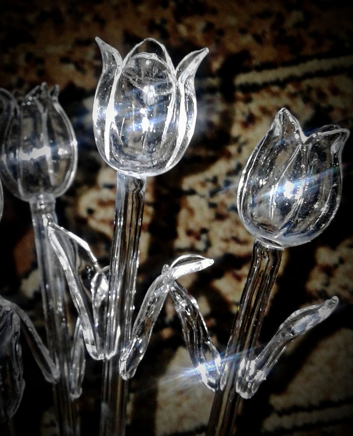 Тюльпанчики