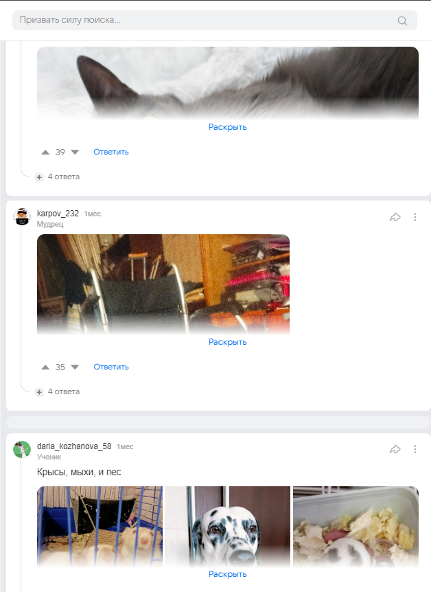   , Mailru , , 