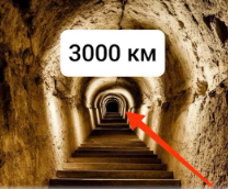 ��������������