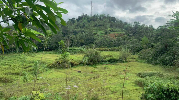 Продолжаем двигаться. А виды-то вокруг какие!