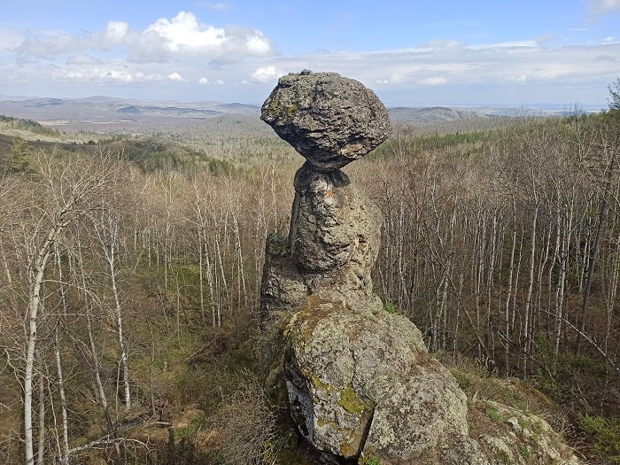 ����� ��������� (�������� ����). ����: ������� ������� 