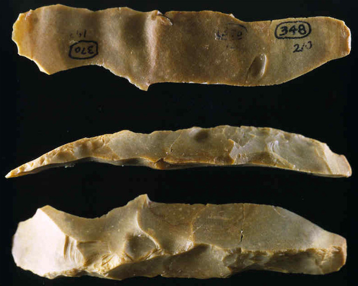 Кремниевые ножи: найденные при раскопках.