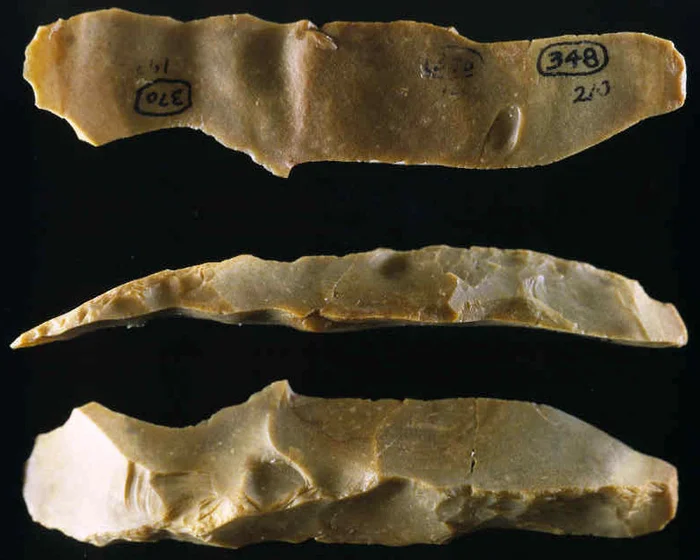 Как мужчины брили усы и бороду в древние времена Люди, Бритье, Археология, Планета Земля, Яндекс Дзен, Яндекс Дзен (ссылка), Длиннопост Как мужчины брили усы и бороду в древние времена Люди, Бритье, Археология, Планета Земля, Яндекс Дзен, Яндекс Дзен (ссылка), Длиннопост