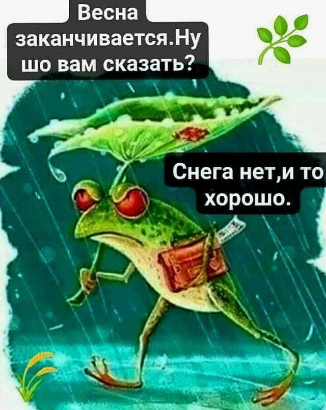 Среда