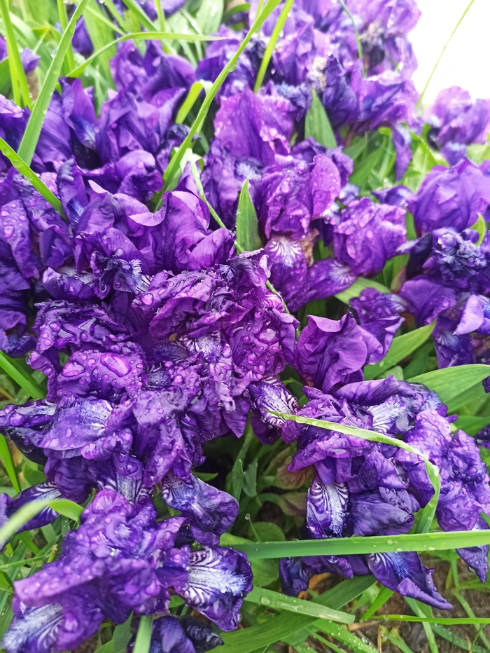     , , , , 