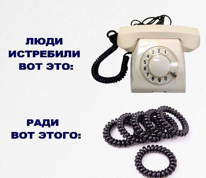   ,   , , , Telegram (),  , 