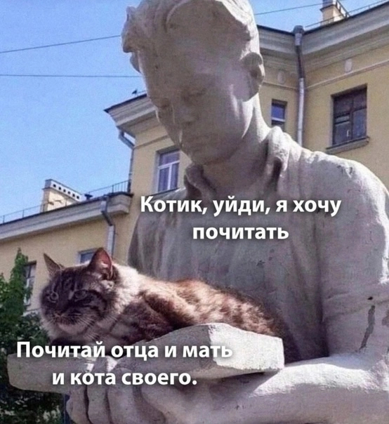 https://cs19.pikabu.ru/s/2025/05/22/04/gf255dcf.jpg