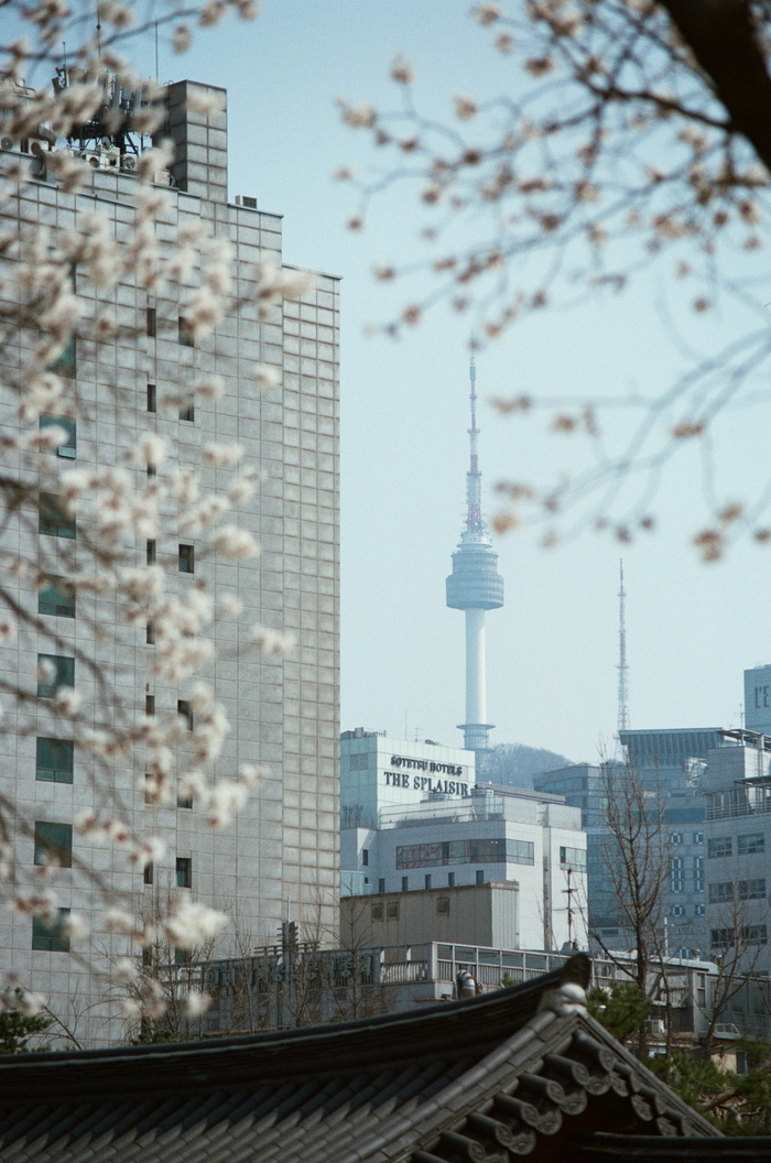 N-Seoul Tower в Сеуле. 70-210/4-5.6, Kodak Portra 160